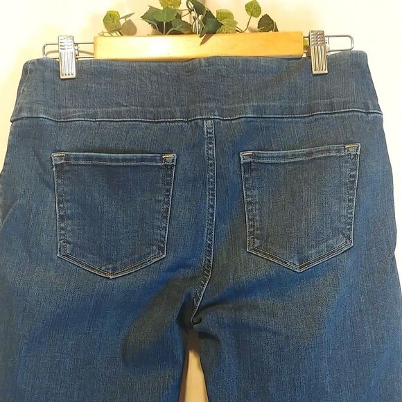 Lee. Stretchy Fit Jeggings. Elastic waist. Size Medium - Picture 2 of 13